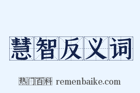 慧智反义词是什么意思的图片
